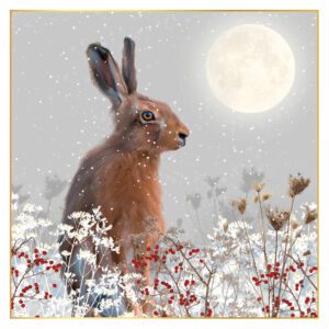 rt18 hare with moon